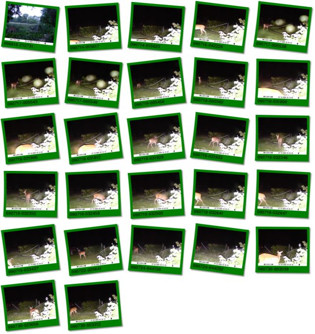 Image map